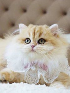 Новый проект (3)