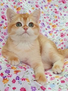 Новый проект (3)