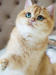 Новый проект (3)