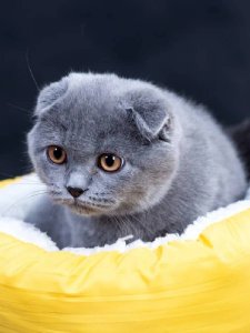 Новый проект (3)