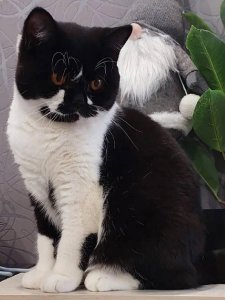 Новый проект (1)