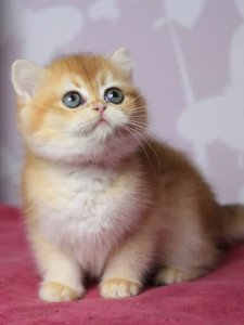 Новый проект (2)