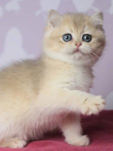 Новый проект (2)