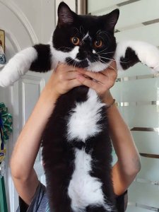 Новый проект (2)