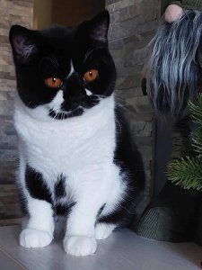 Новый проект (3)