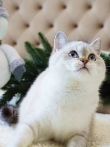 Новый проект (3)