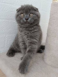 Новый проект (1)