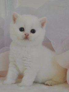 Новый проект (2)