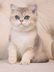 Новый проект (2)