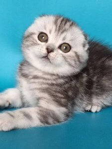 Новый проект (2)