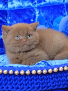 Новый проект (2)