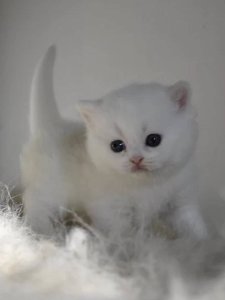 Новый проект (3)