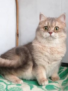 Новый проект (3)