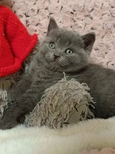 Новый проект (3)