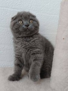 Новый проект (3)