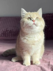 Новый проект (1)