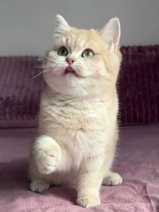 Новый проект (2)