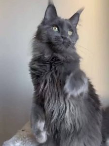 Новый проект (3)