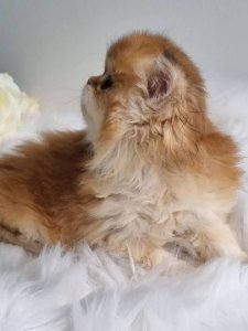 Новый проект (3)