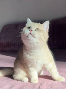 Новый проект (3)