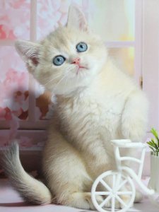 Новый проект (2)