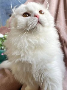 Новый проект (2)