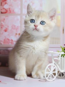 Новый проект (3)