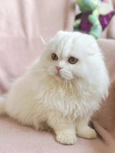 Новый проект (3)