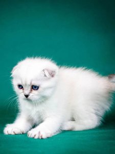 Новый проект (3)