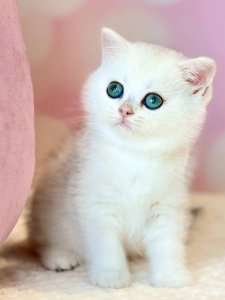 Новый проект (3)