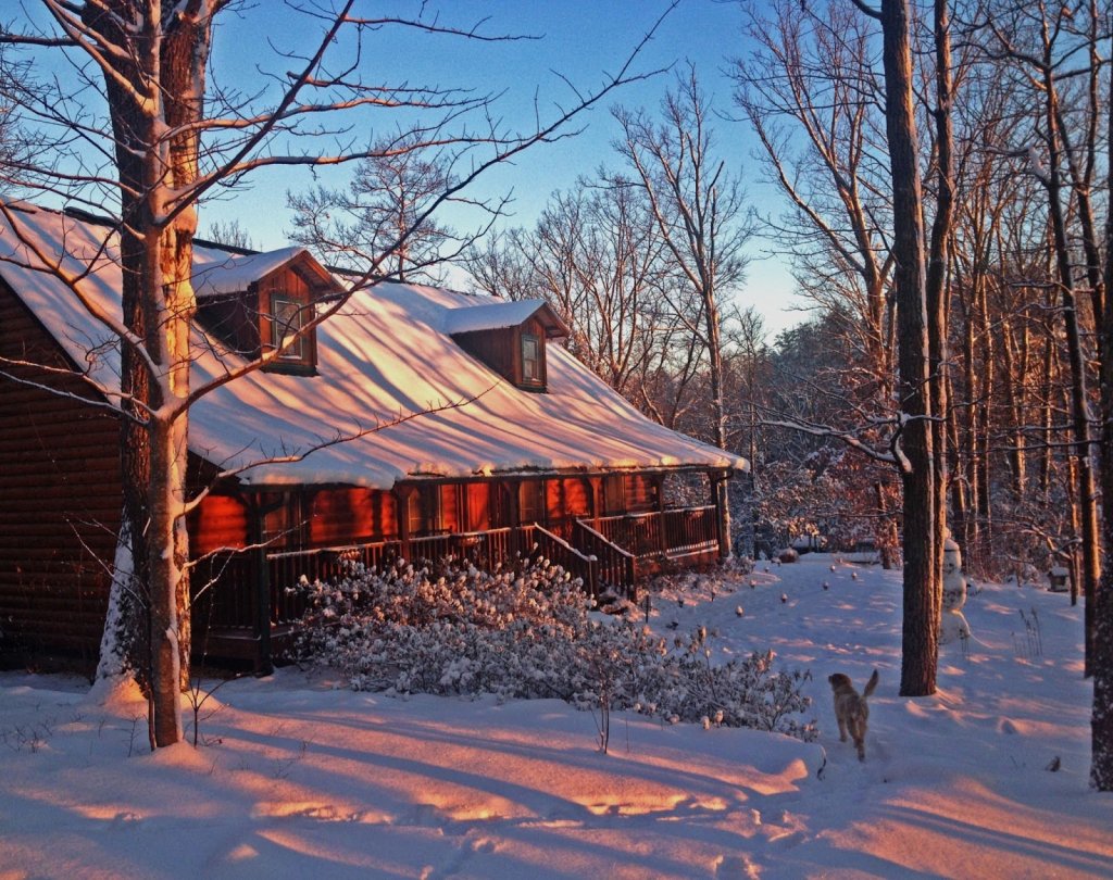 Barefoot Hills Hotel