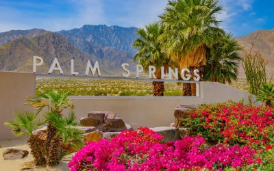 Top 5 Pet-Friendly Hotels in Palm Springs