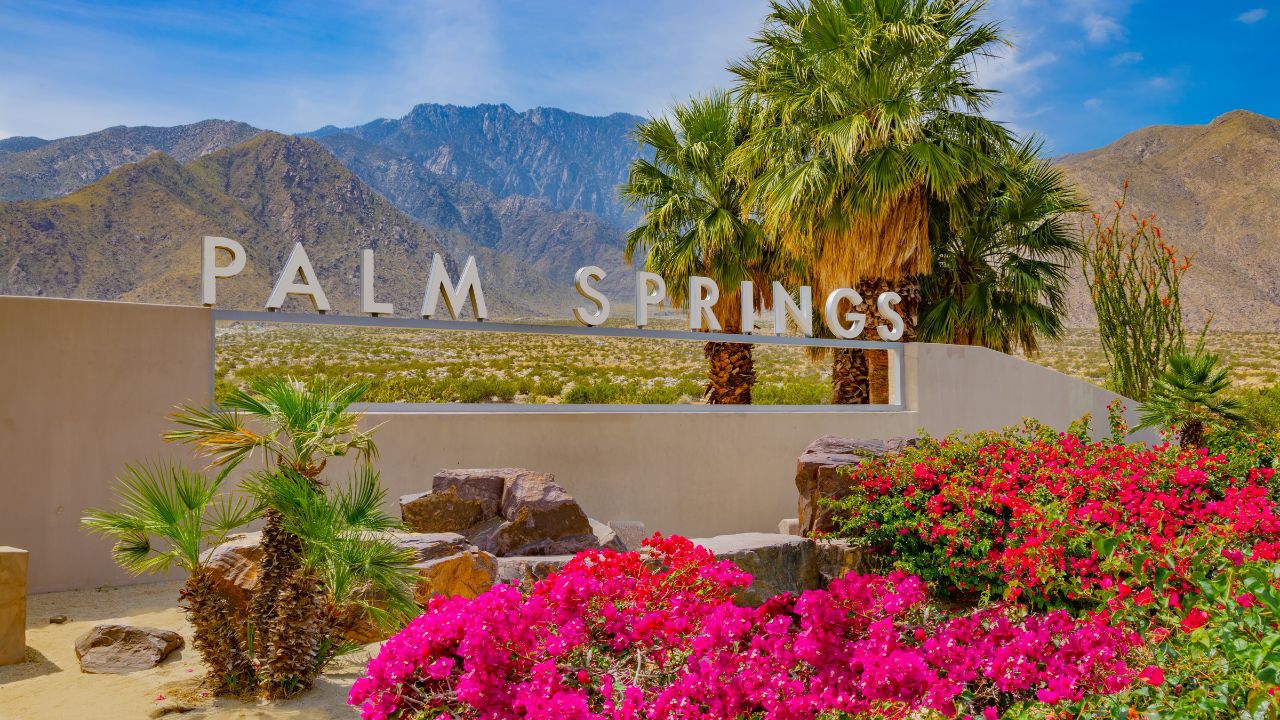 Pet-Friendly Hotels in Palm Springs