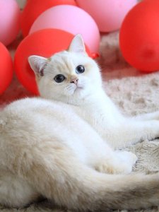 Новый проект (1)