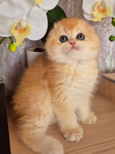 Новый проект (1)