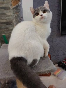 Новый проект (1)