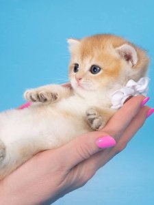 Новый проект (2)