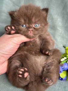 Новый проект (2)