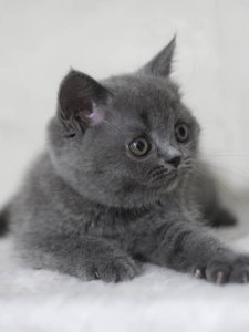 Новый проект (2)