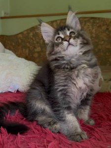 Новый проект (2)