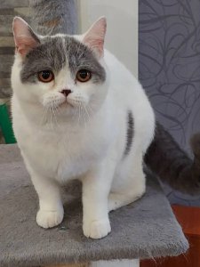 Новый проект (2)