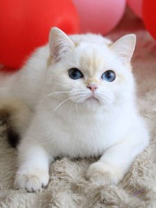 Новый проект (3)