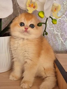 Новый проект (3)