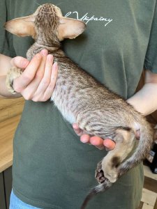 Новый проект (3)