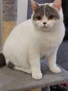 Новый проект (3)