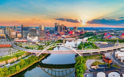Best Pet-Friendly Hotels in Nashville: Real Guest Picks