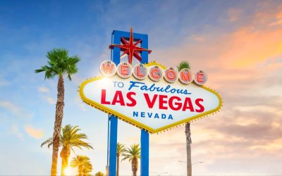 5 Verified Pet-Friendly Hotels in Las Vegas