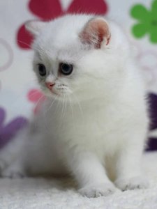 Новый проект (1)