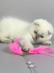 Новый проект (2)