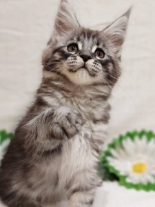 Новый проект (2)